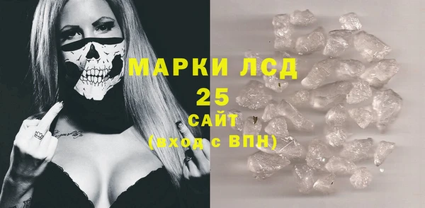 хмурый Гусь-Хрустальный