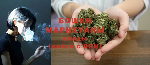 PSILOCYBIN Гусиноозёрск