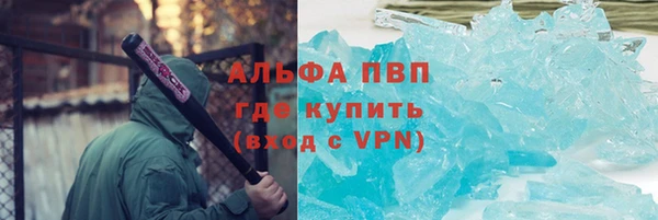 PSILOCYBIN Гусиноозёрск
