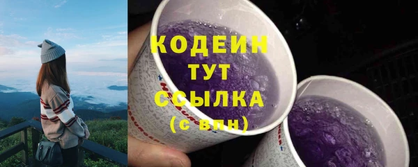PSILOCYBIN Гусиноозёрск