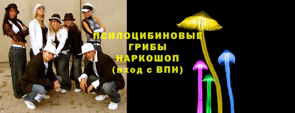 хмурый Гусь-Хрустальный