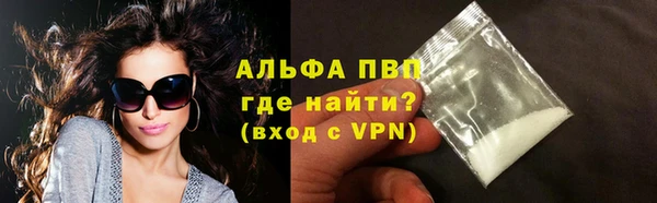 PSILOCYBIN Гусиноозёрск