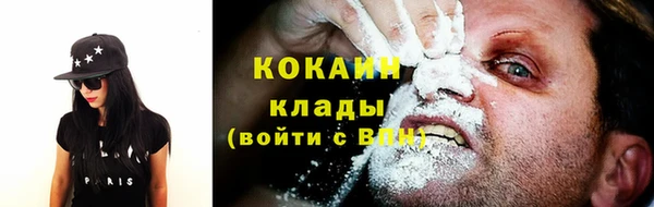 гашик Гусев