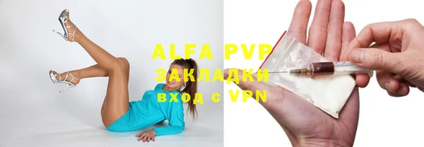 гашик Гусев