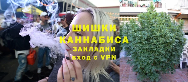 гашик Гусев