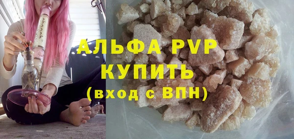 гашик Гусев