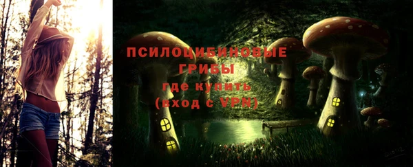 PSILOCYBIN Гусиноозёрск