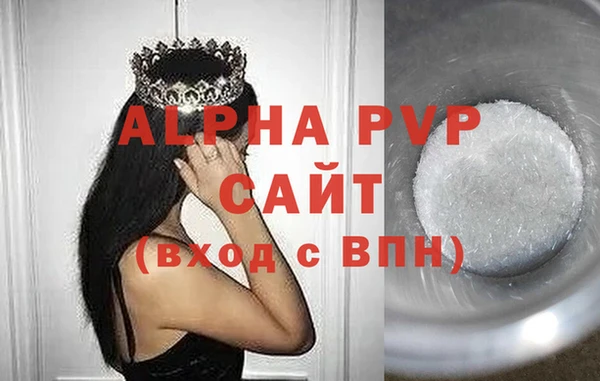 PSILOCYBIN Гусиноозёрск