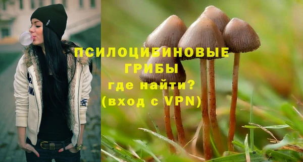 МДПВ Покров