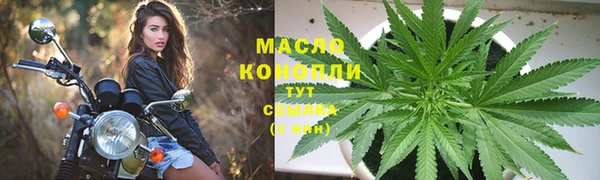 гашик Гусев