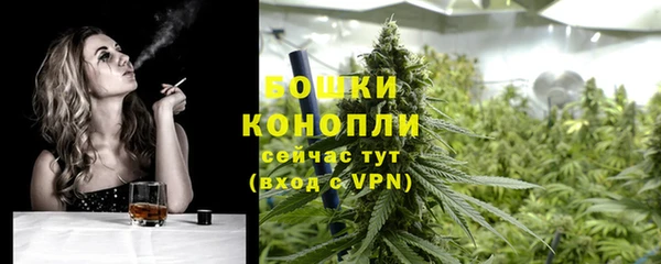хмурый Гусь-Хрустальный