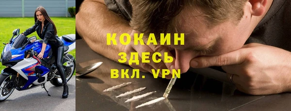 PSILOCYBIN Гусиноозёрск