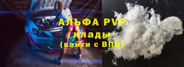 PSILOCYBIN Гусиноозёрск